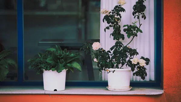 Konserwacja urządzeń AGD. 10 szybkich porad - zdjęcie ilustracyjne